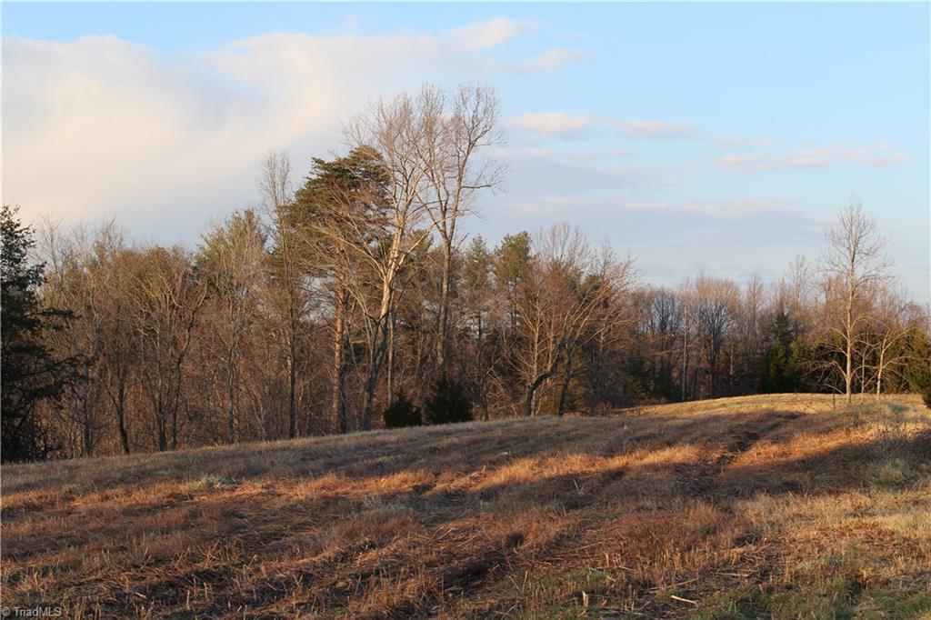 0 Bolejack Road Germanton, NC 27019 - Photo 2 of 8