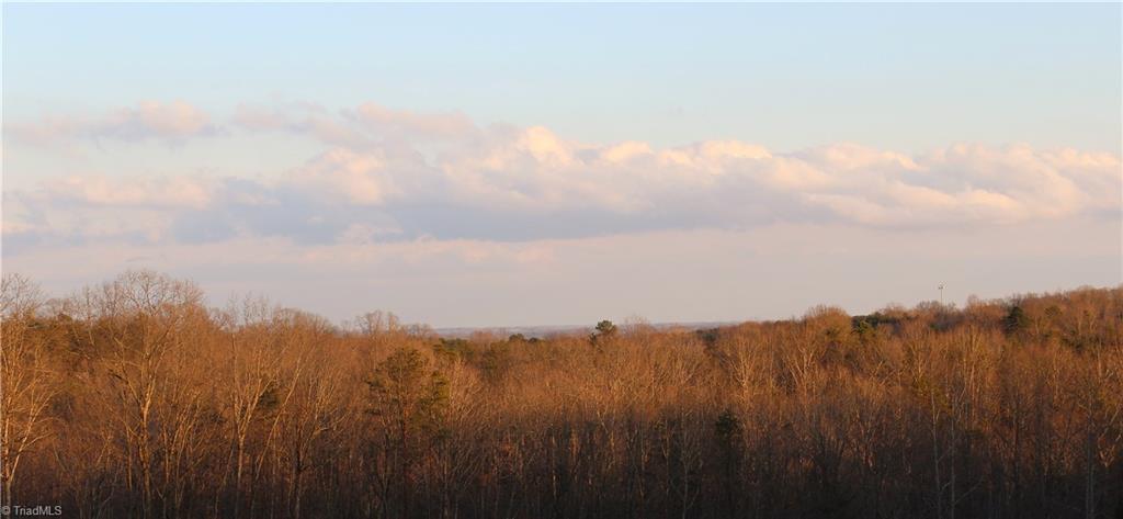 0 Bolejack Road Germanton, NC 27019 - Photo 3 of 8