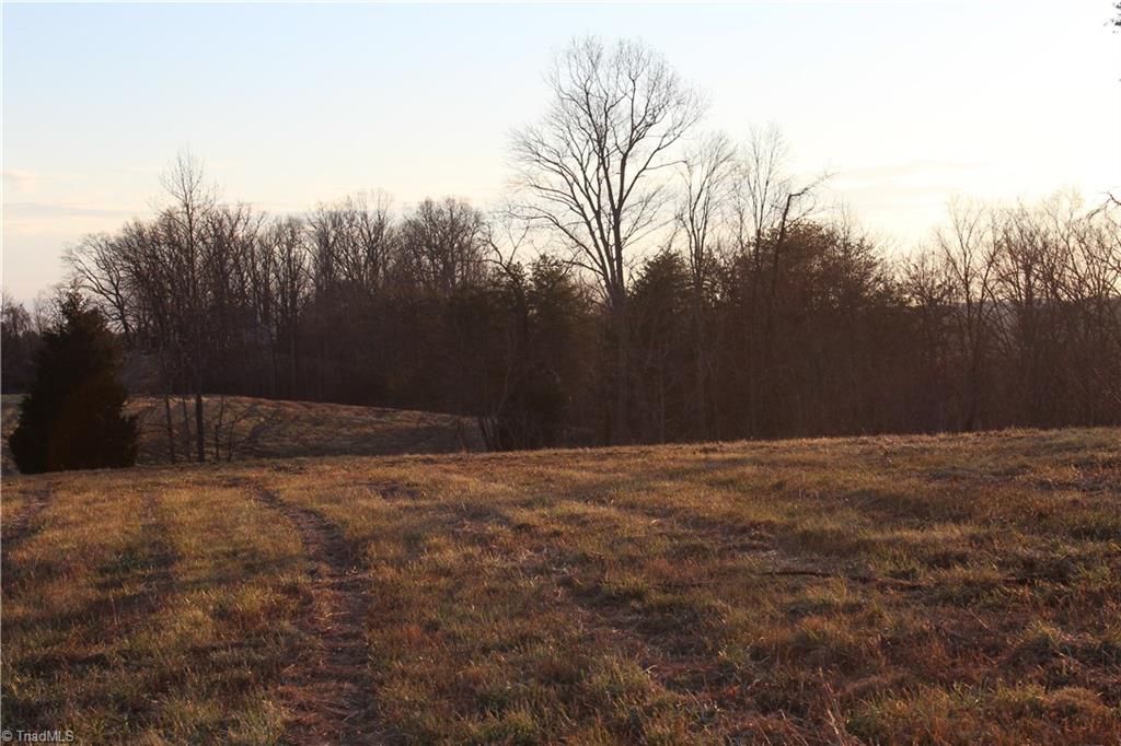 0 Bolejack Road Germanton, NC 27019 - Photo 4 of 8