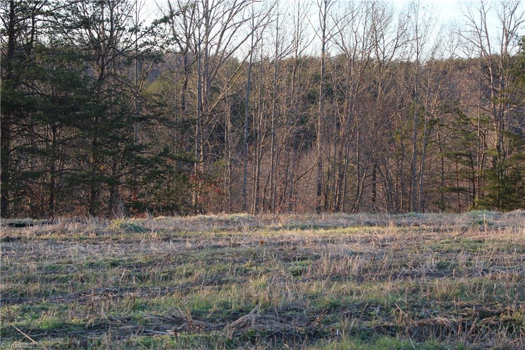 0 Bolejack Road Germanton, NC 27019 - Photo 6 of 8