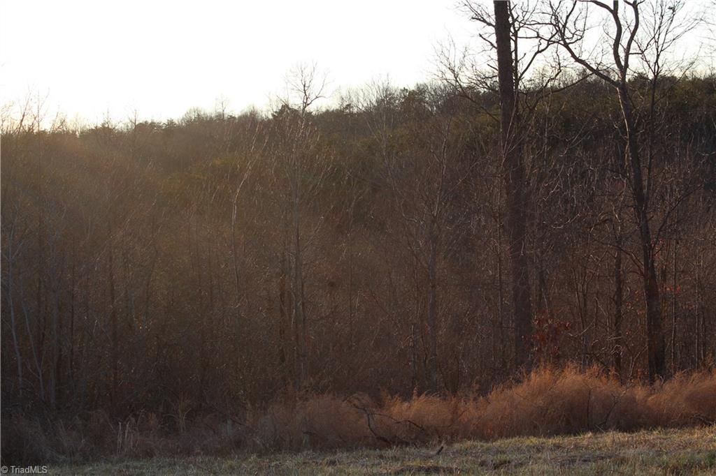 0 Bolejack Road Germanton, NC 27019 - Photo 7 of 8