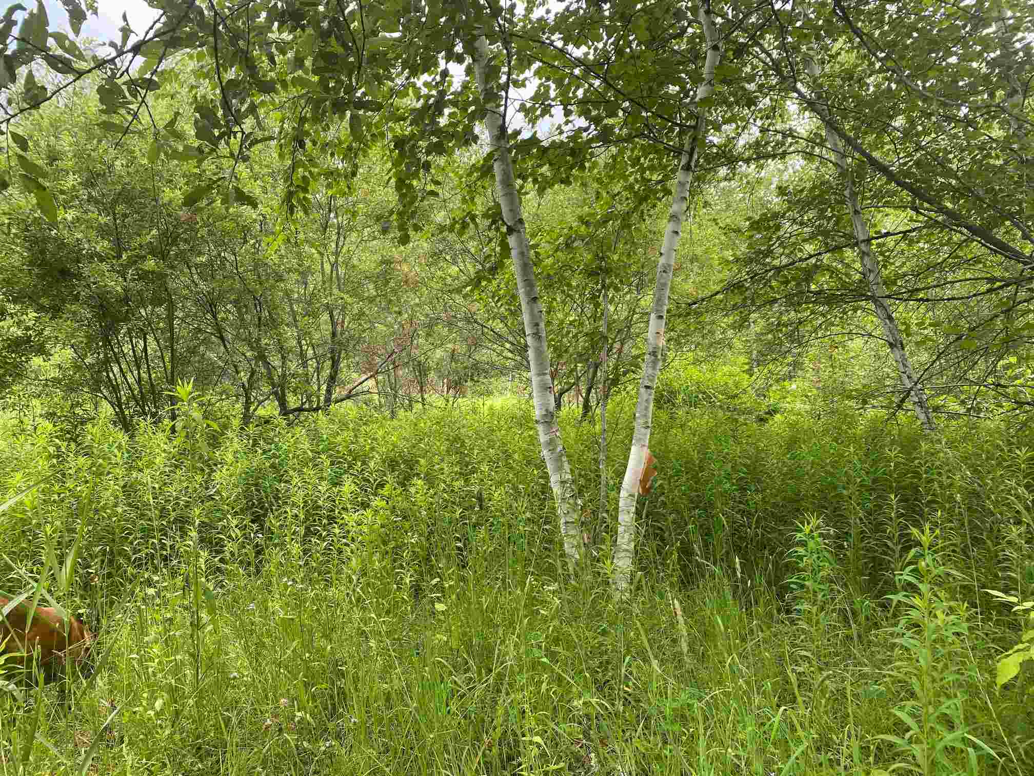621 Poker Hill Road Underhill, VT 05489 - Photo 11 of 24 Gallery Image 11