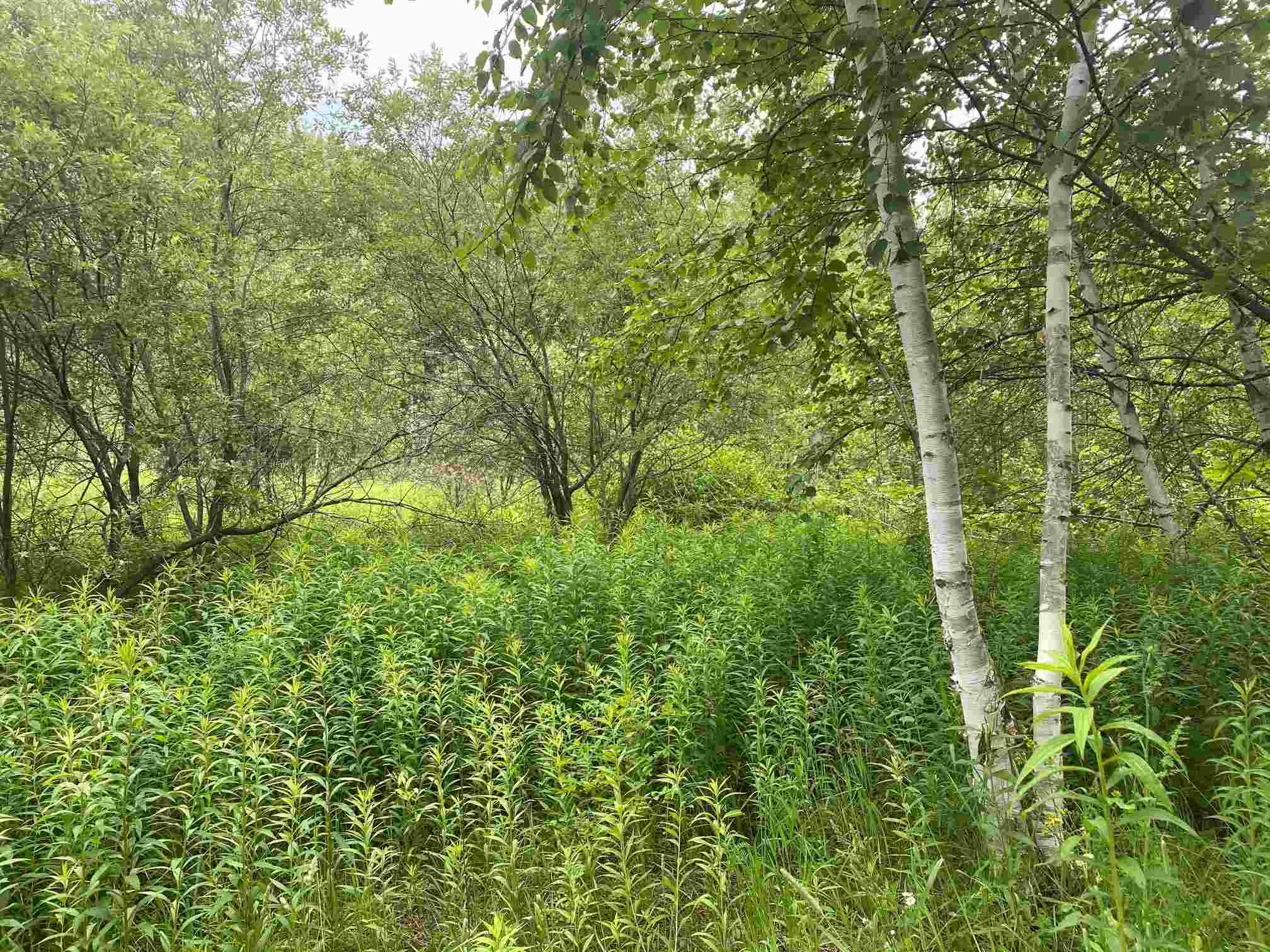621 Poker Hill Road Underhill, VT 05489 - Photo 12 of 24 Gallery Image 12