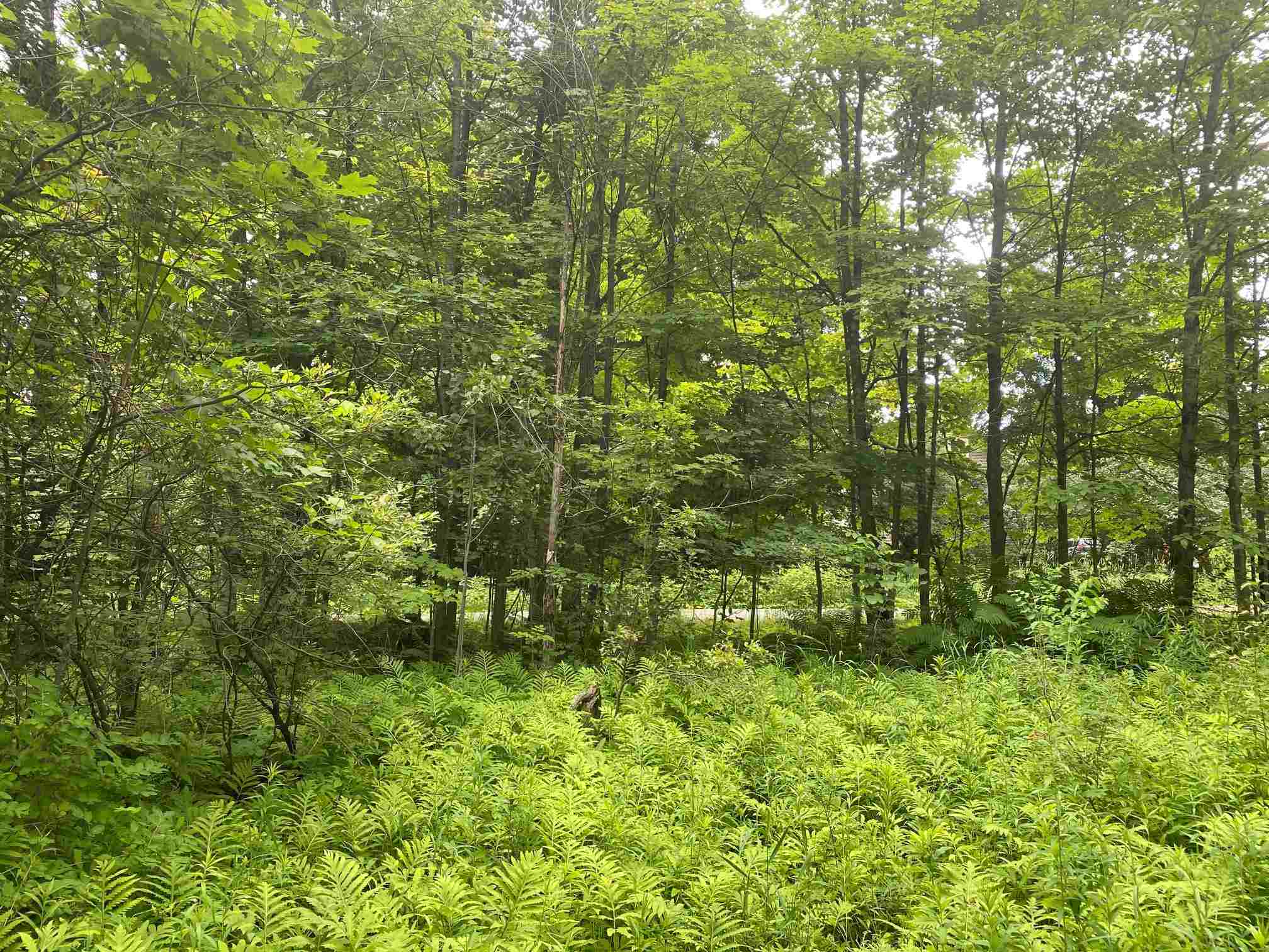 621 Poker Hill Road Underhill, VT 05489 - Photo 14 of 24 Gallery Image 14