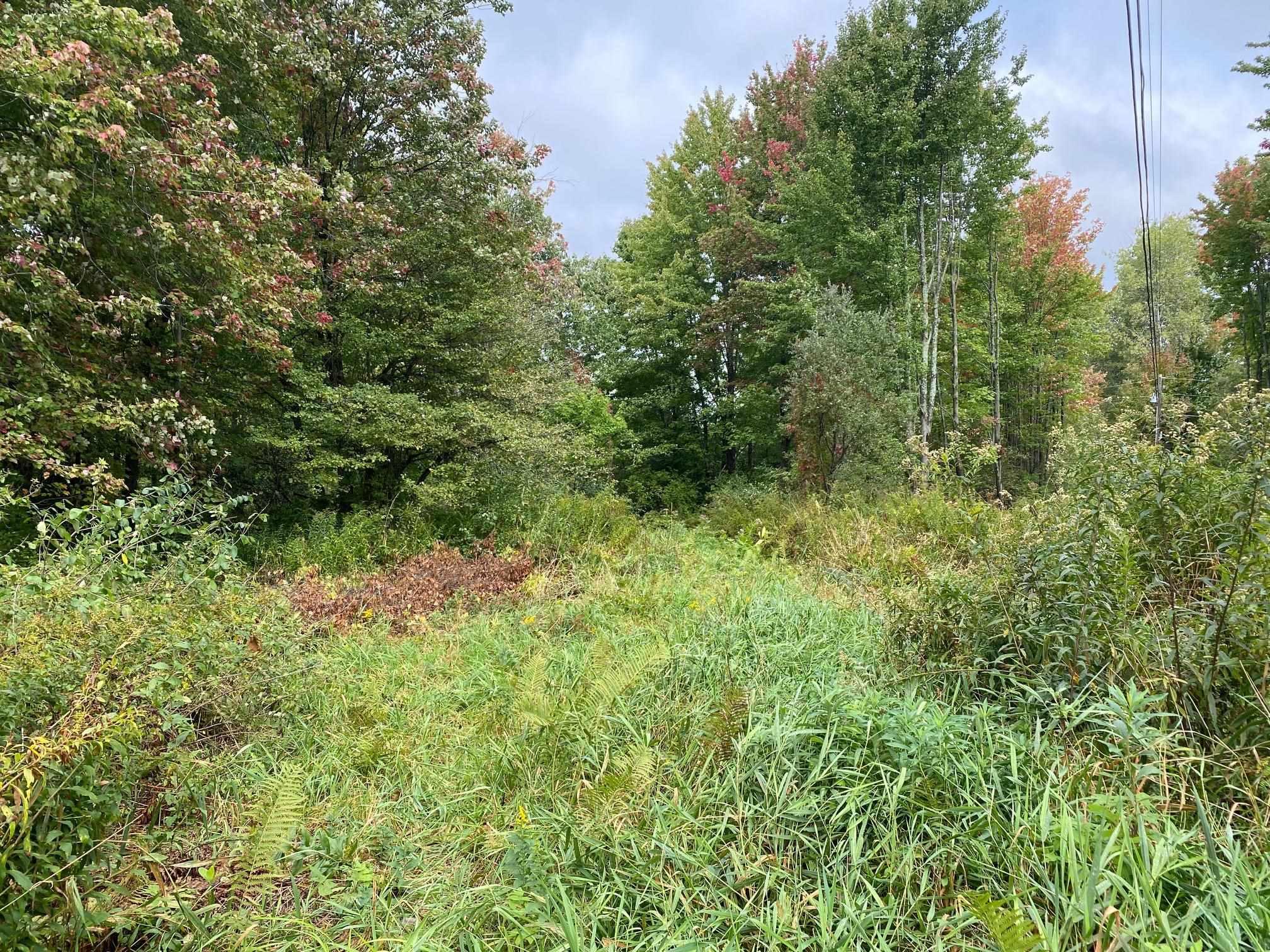 621 Poker Hill Road Underhill, VT 05489 - Photo 22 of 24 Gallery Image 22