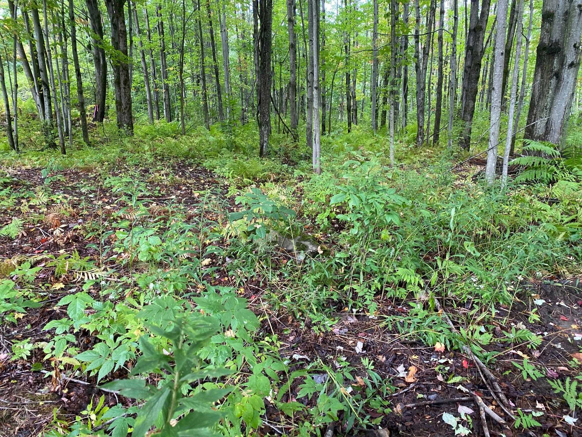 621 Poker Hill Road Underhill, VT 05489 - Photo 23 of 24 Gallery Image 23