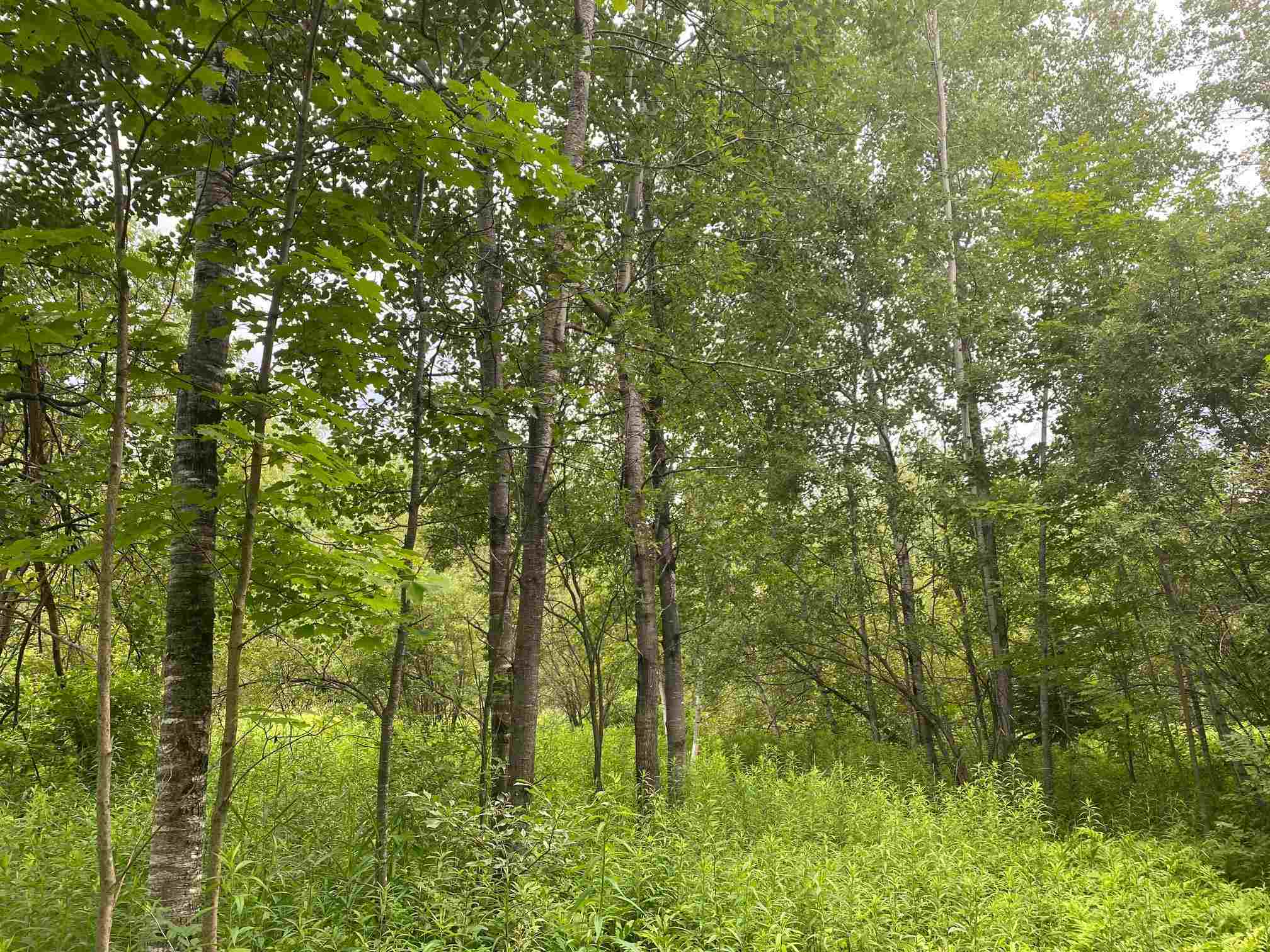 621 Poker Hill Road Underhill, VT 05489 - Photo 10 of 24 Gallery Image 10