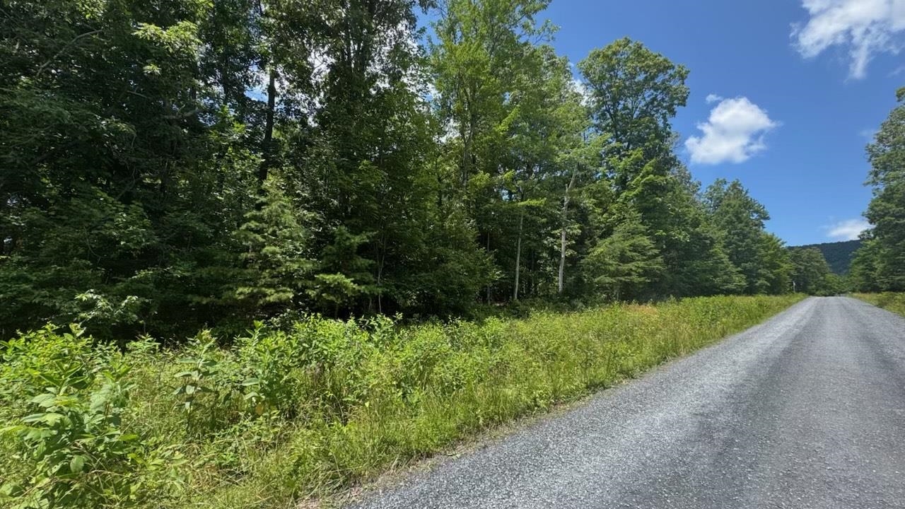 Tbd Hunter Road Maurertown, VA 22644 - Photo 1 of 3 Gallery Image 1