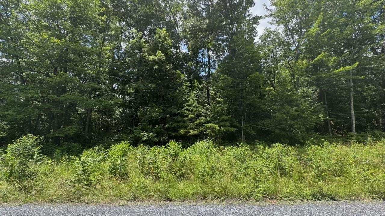 Tbd Hunter Road Maurertown, VA 22644 - Photo 2 of 3 Gallery Image 2