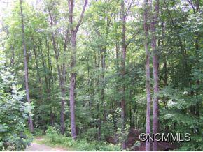 0 Chad Crawford Road Sylva, NC 28779 - Photo 3 of 13 Gallery Image 3
