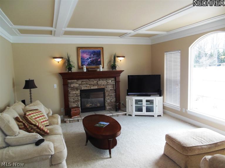 3366 Azalea Ridge Drive Perry, OH 44081 - Photo 9 of 25