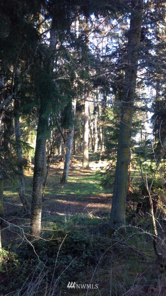01 Morris Road Coupeville, WA 98239 - Photo 1 of 1 Gallery Image 1