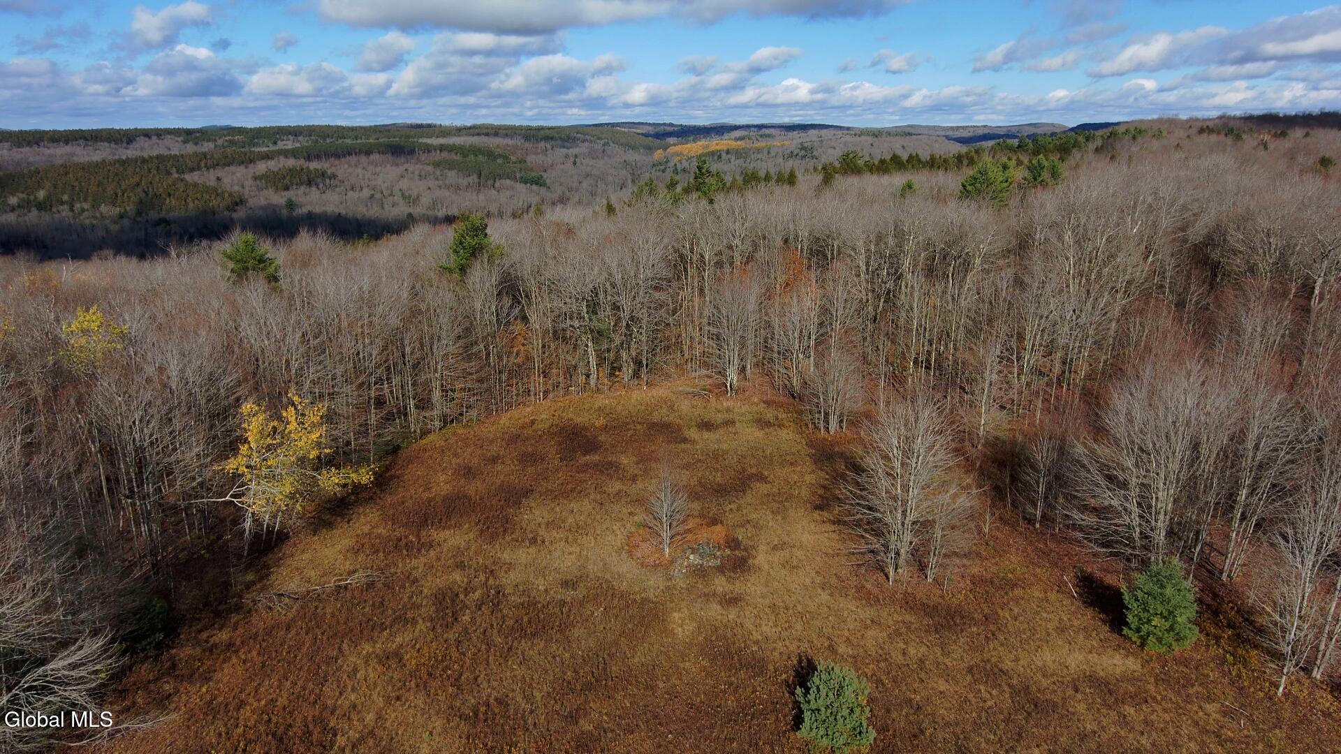 L14 Hawthorn Path Jefferson, NY 12093 - Photo 1 of 9 Hawthorn Path Snapshot