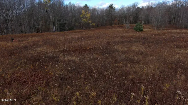 $29,000 | L14 Hawthorn Path, Jefferson, NY 12093