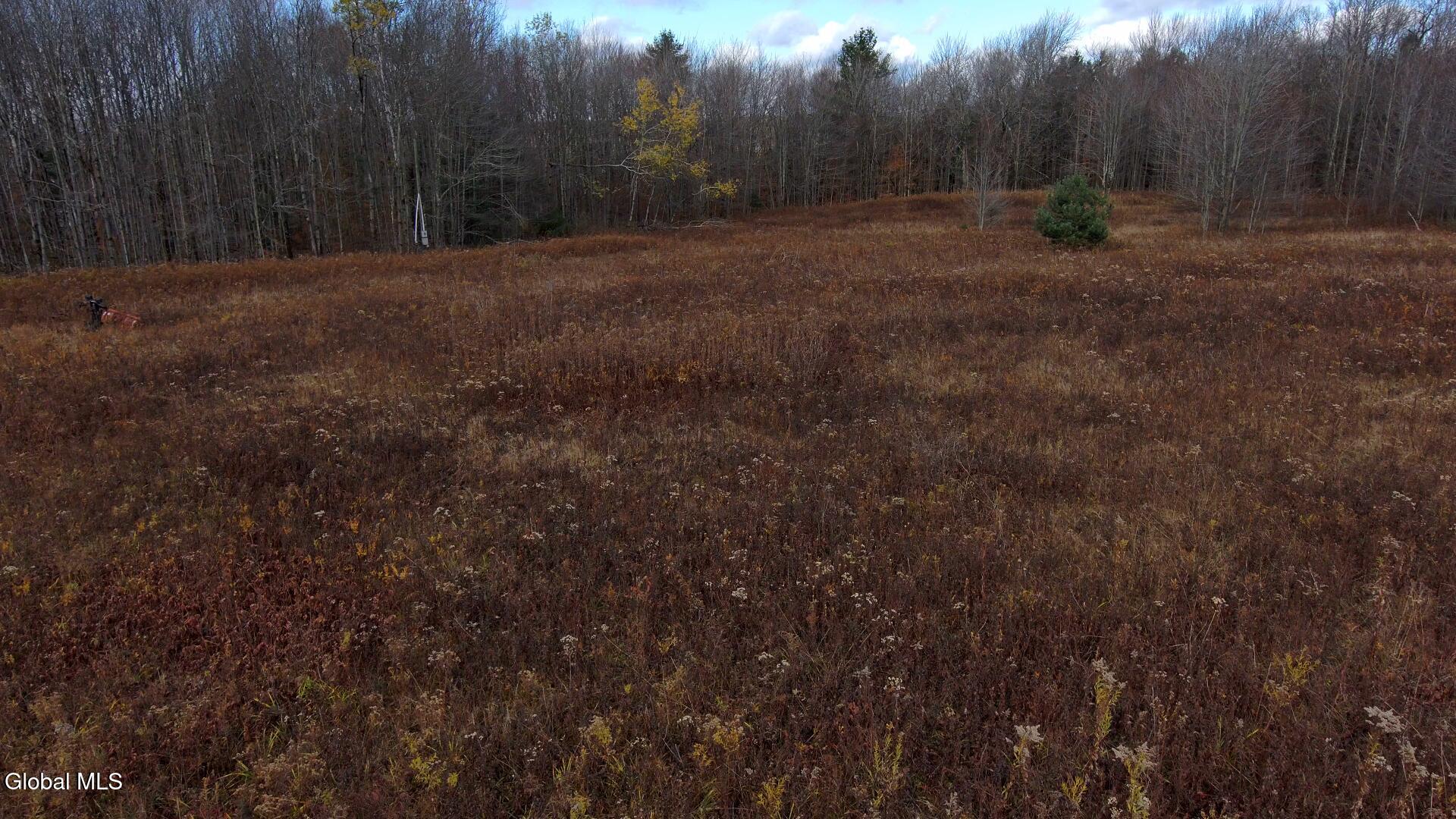 L14 Hawthorn Path Jefferson, NY 12093 - Photo 2 of 9 Hawthorn Path Snapshot 4