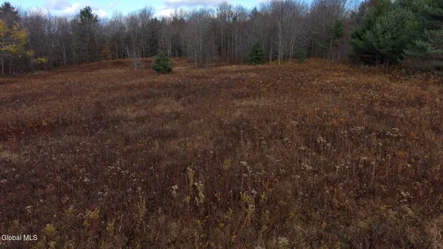 $29,000 | L14 Hawthorn Path, Jefferson, NY 12093