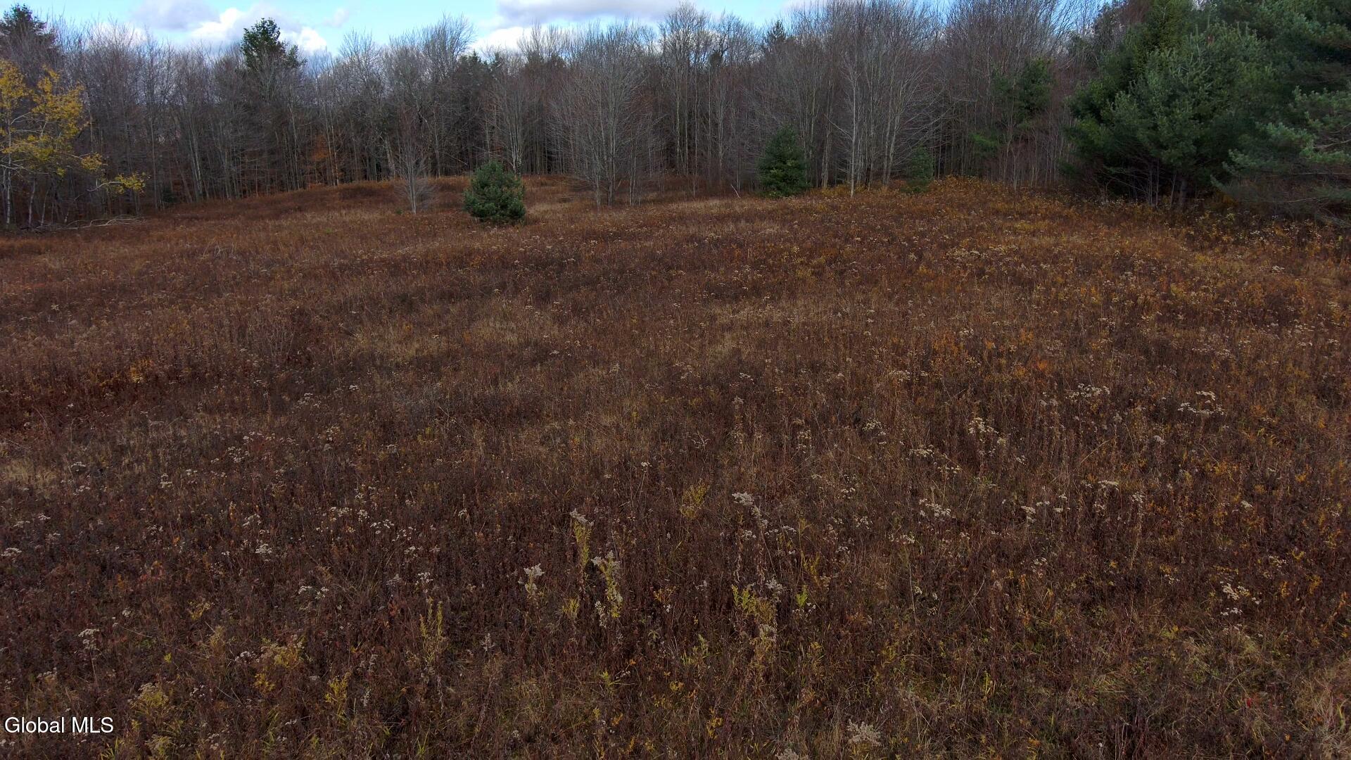 L14 Hawthorn Path Jefferson, NY 12093 - Photo 3 of 9 Hawthorn Path Snapshot field low