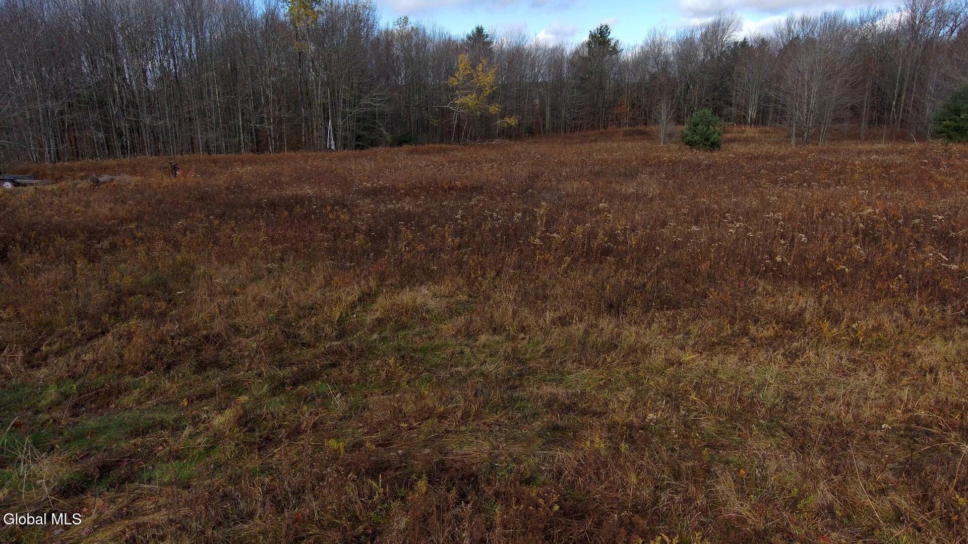 L14 Hawthorn Path Jefferson, NY 12093 - Photo 4 of 9 Hawthorn Path Snapshot field