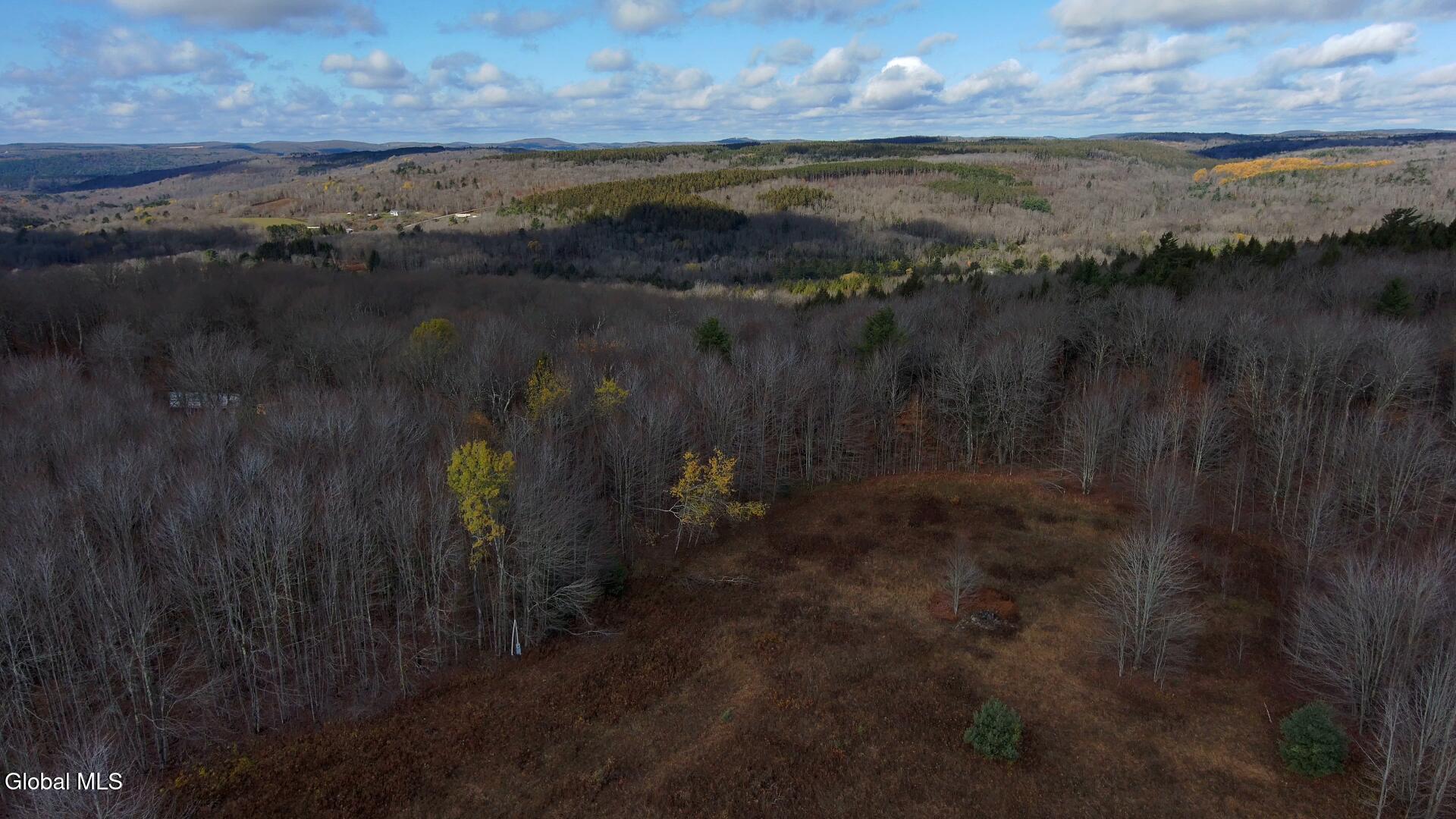L14 Hawthorn Path Jefferson, NY 12093 - Photo 5 of 9 Hawthorn Path Snapshot trees