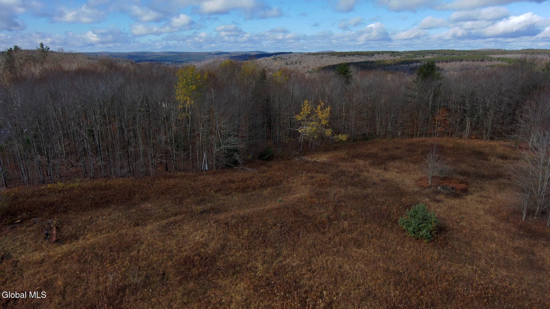 L14 Hawthorn Path Jefferson, NY 12093 - Photo 6 of 9 Snapshot