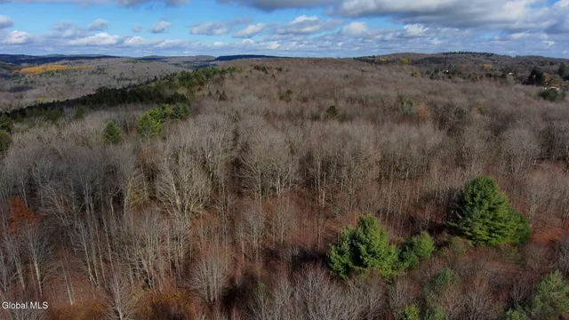 $29,000 | L14 Hawthorn Path, Jefferson, NY 12093