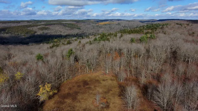 $29,000 | L14 Hawthorn Path, Jefferson, NY 12093