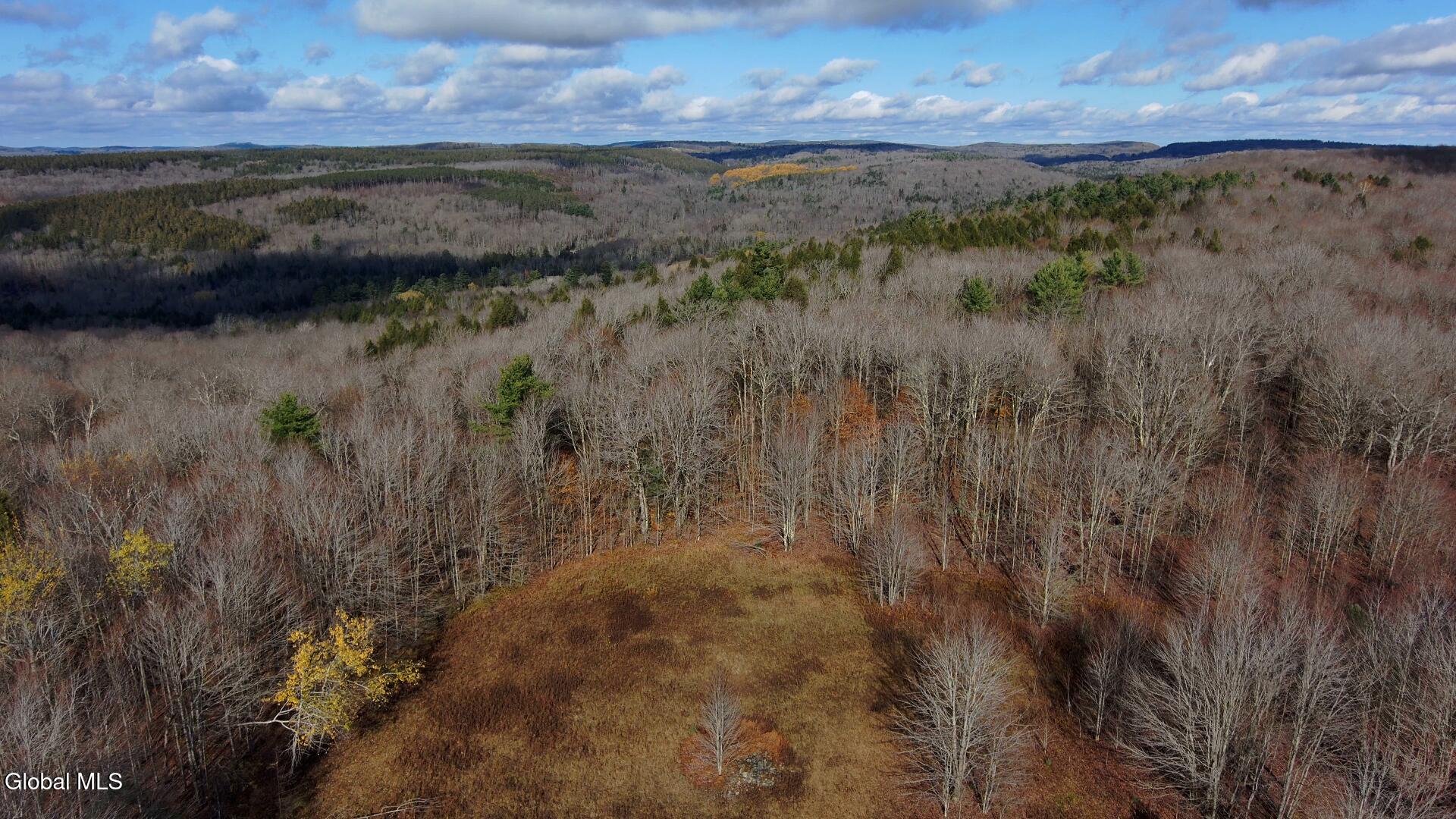 L14 Hawthorn Path Jefferson, NY 12093 - Photo 8 of 9 Hawthorn 7