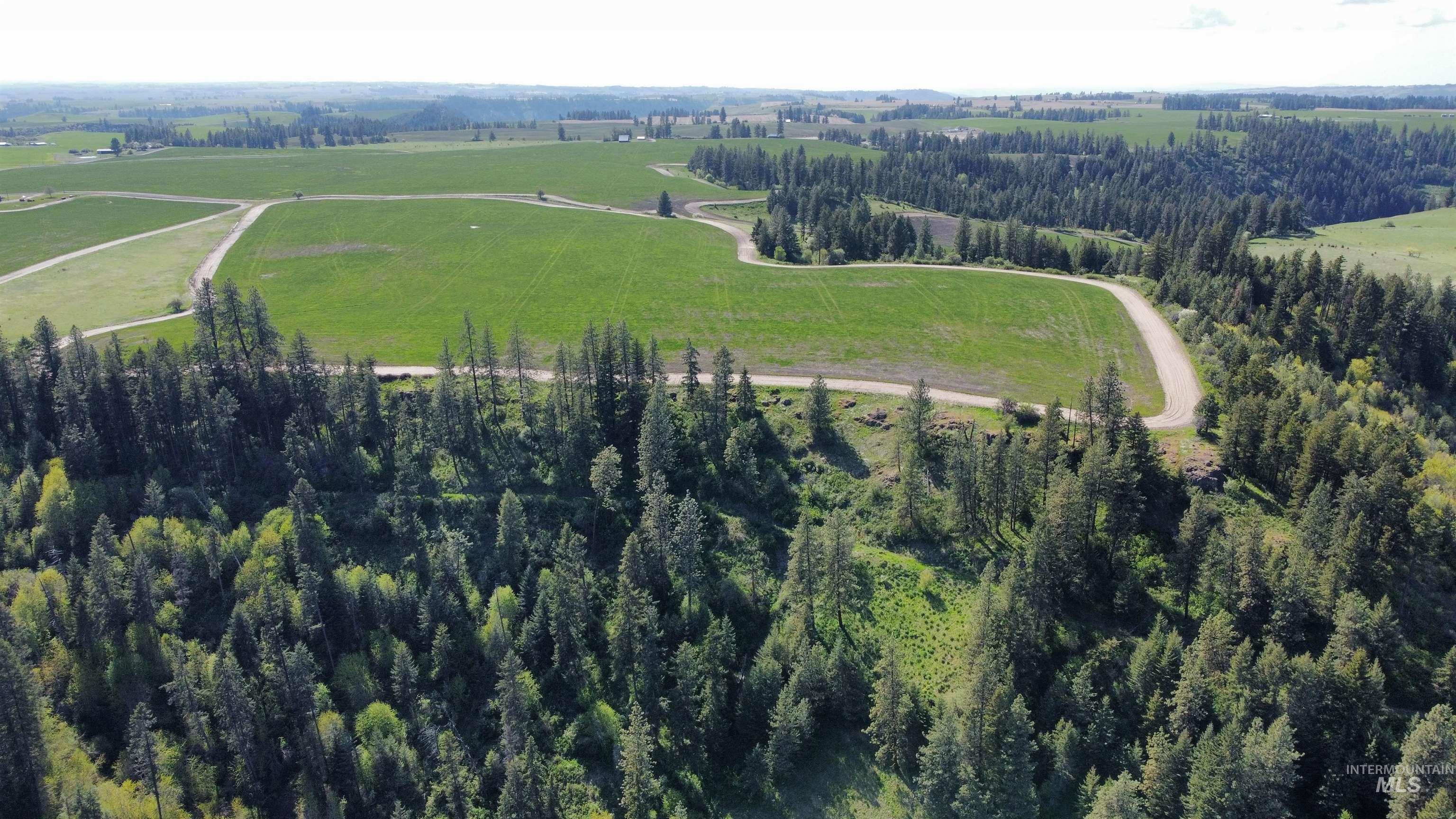 0 Gilbert Grade And 0 Heritage Road Orofino, ID 83544 - Photo 11 of 31