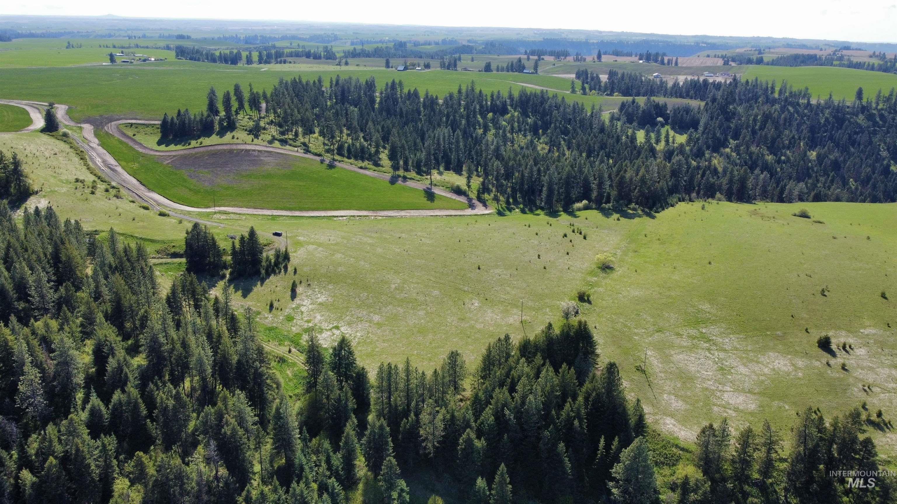 0 Gilbert Grade And 0 Heritage Road Orofino, ID 83544 - Photo 15 of 31