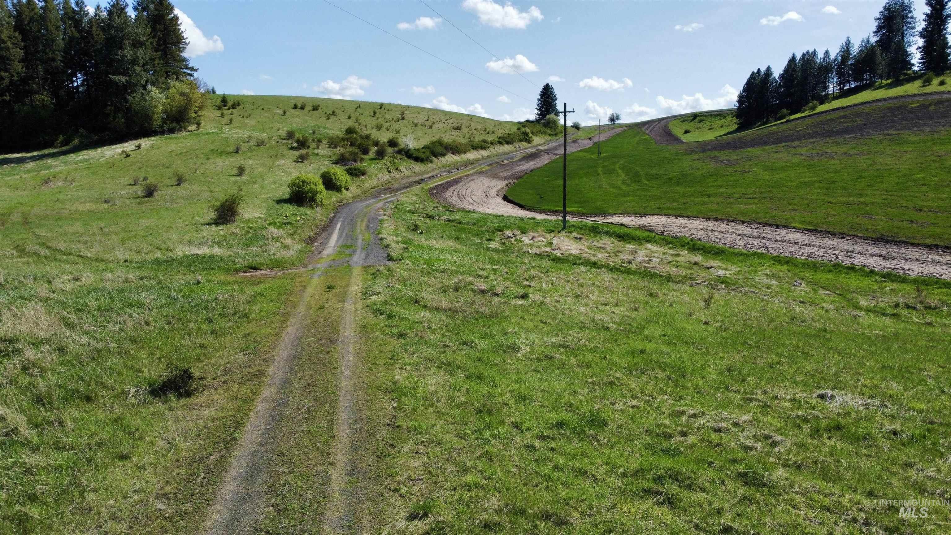 0 Gilbert Grade And 0 Heritage Road Orofino, ID 83544 - Photo 16 of 31