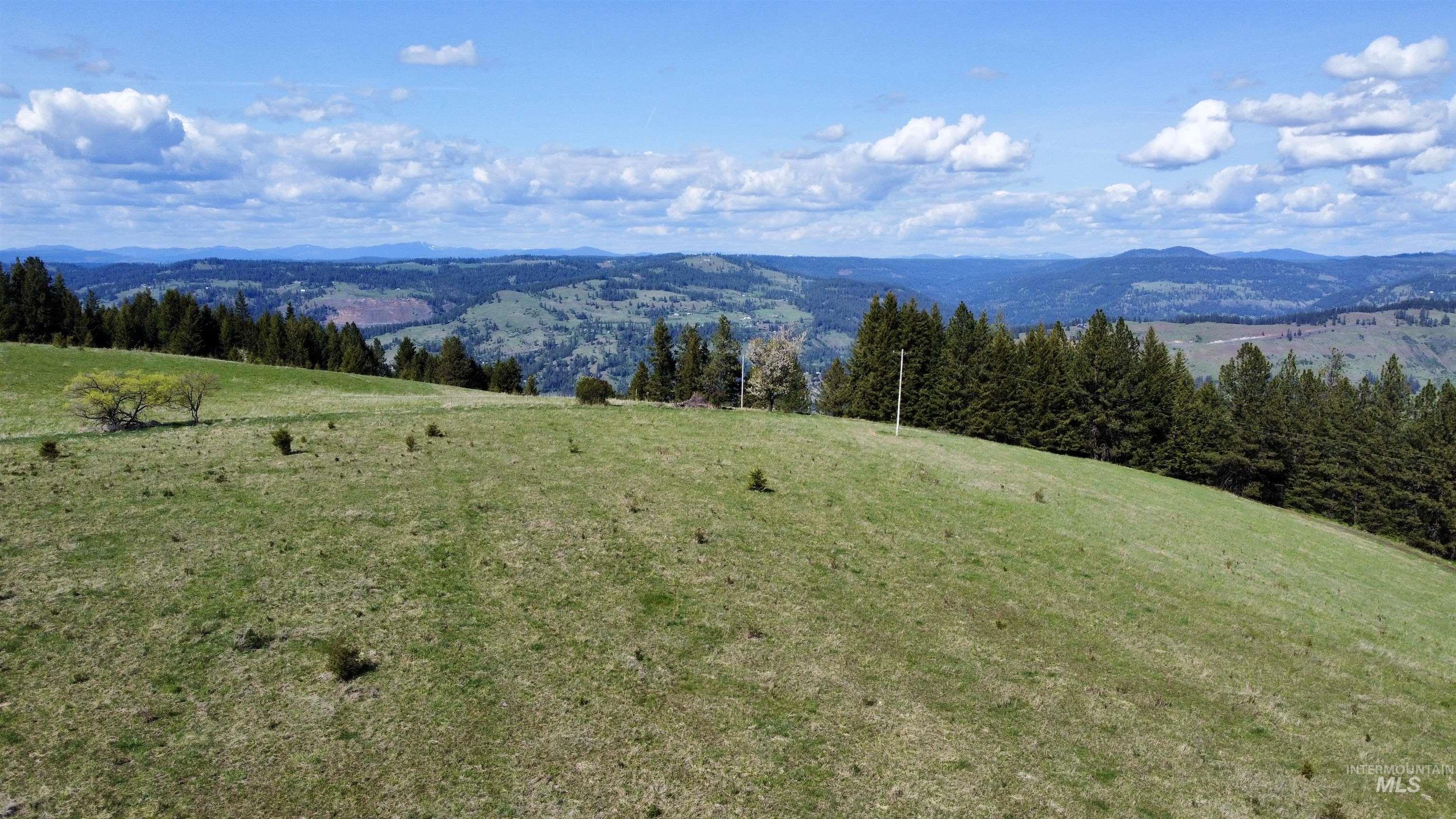 0 Gilbert Grade And 0 Heritage Road Orofino, ID 83544 - Photo 17 of 31