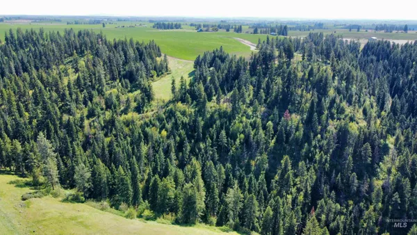 $1,249,000 | 0 Gilbert Grade And 0 Heritage Road, Orofino, ID 83544