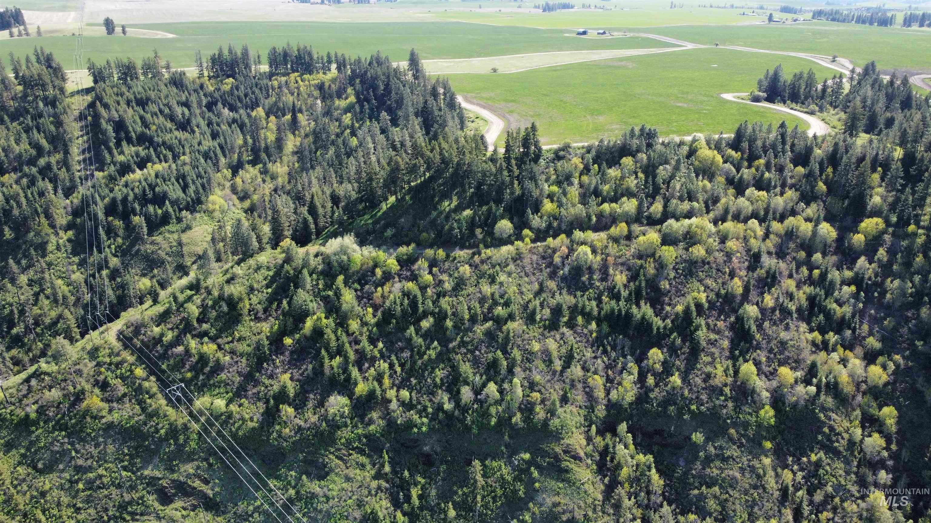 0 Gilbert Grade And 0 Heritage Road Orofino, ID 83544 - Photo 24 of 31