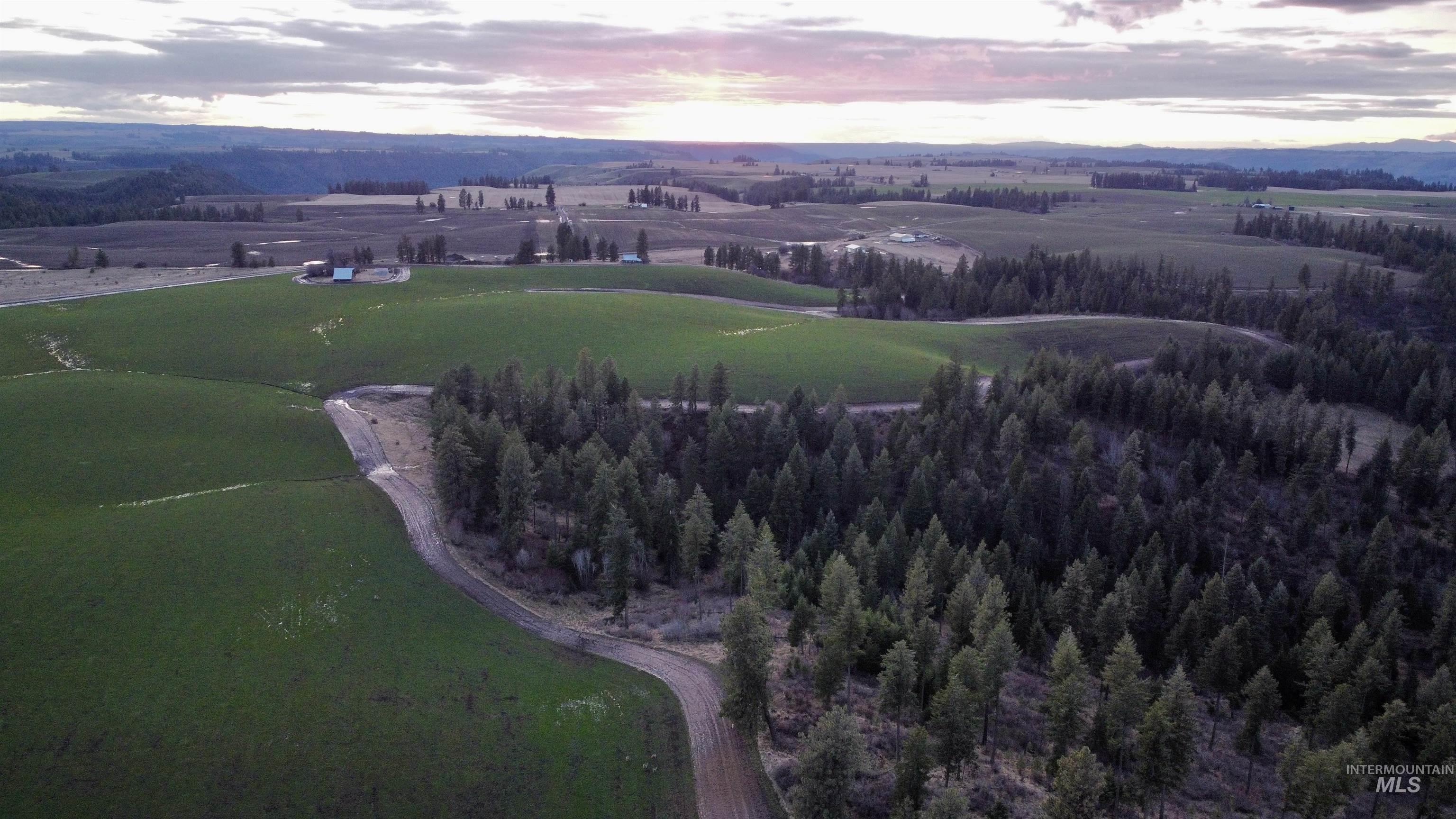 0 Gilbert Grade And 0 Heritage Road Orofino, ID 83544 - Photo 29 of 31