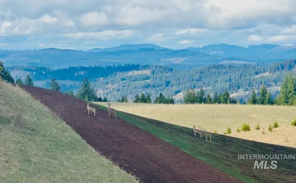 $1,249,000 | 0 Gilbert Grade And 0 Heritage Road, Orofino, ID 83544