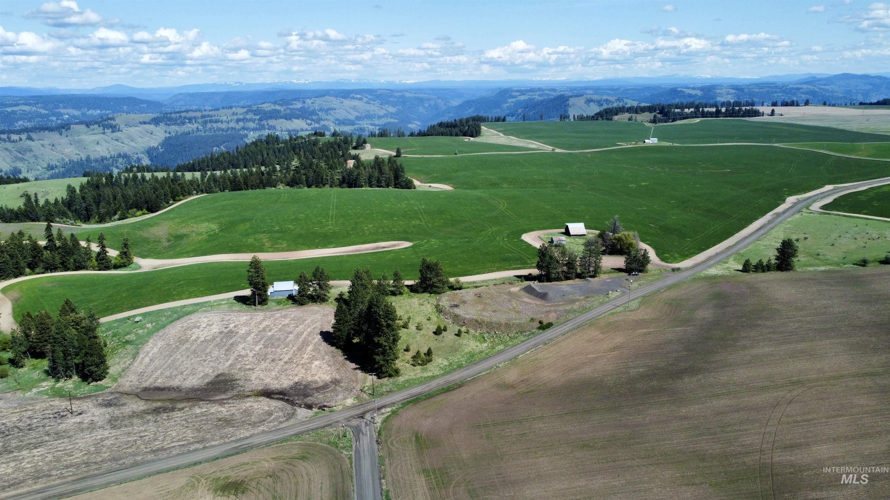 0 Gilbert Grade And 0 Heritage Road Orofino, ID 83544 - Photo 5 of 31