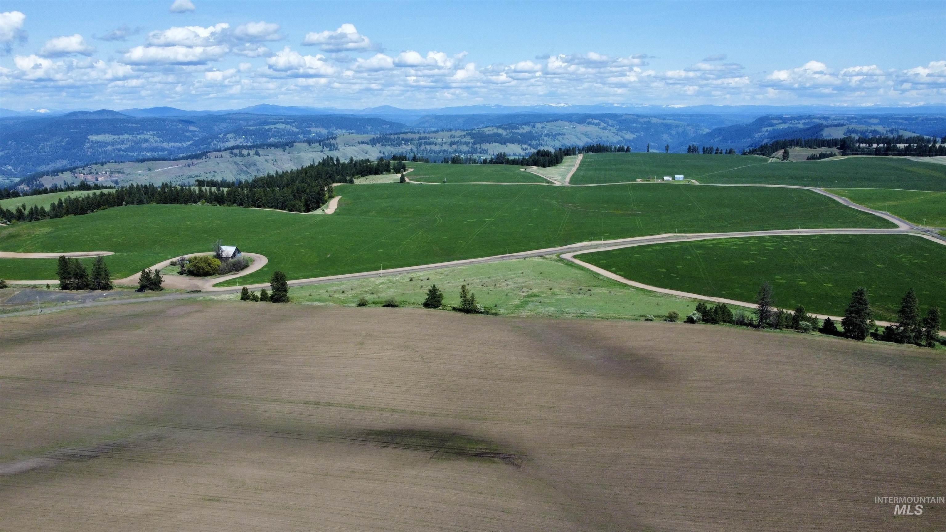 0 Gilbert Grade And 0 Heritage Road Orofino, ID 83544 - Photo 6 of 31