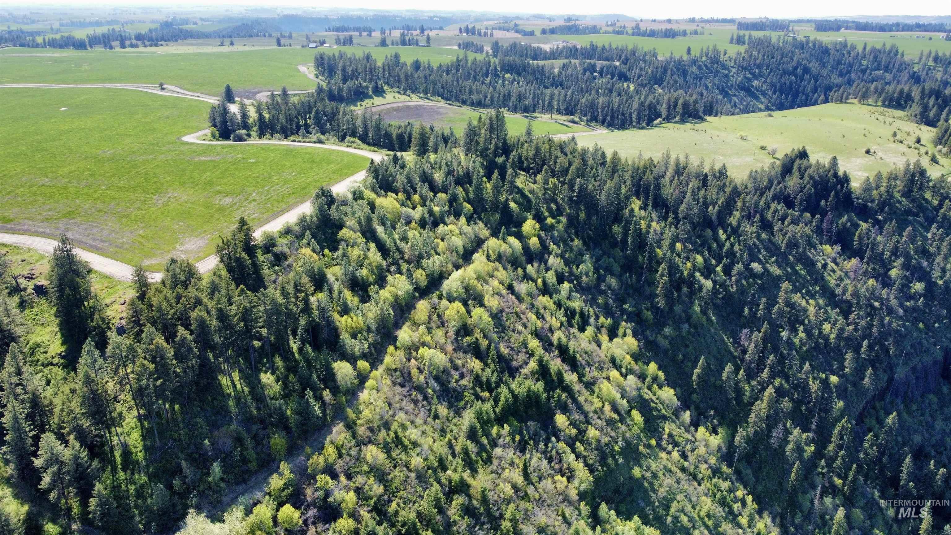 0 Gilbert Grade And 0 Heritage Road Orofino, ID 83544 - Photo 10 of 31