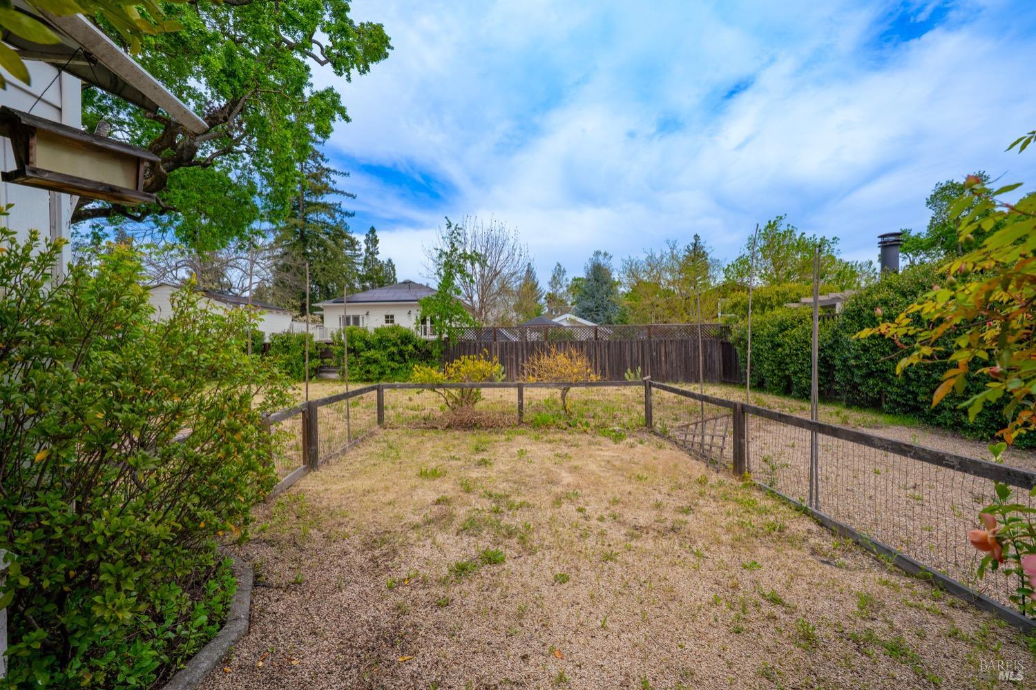1664 Spring Street St. Helena, CA 94574 - Photo 19 of 27 a view of backyard with large tree and wooden fence