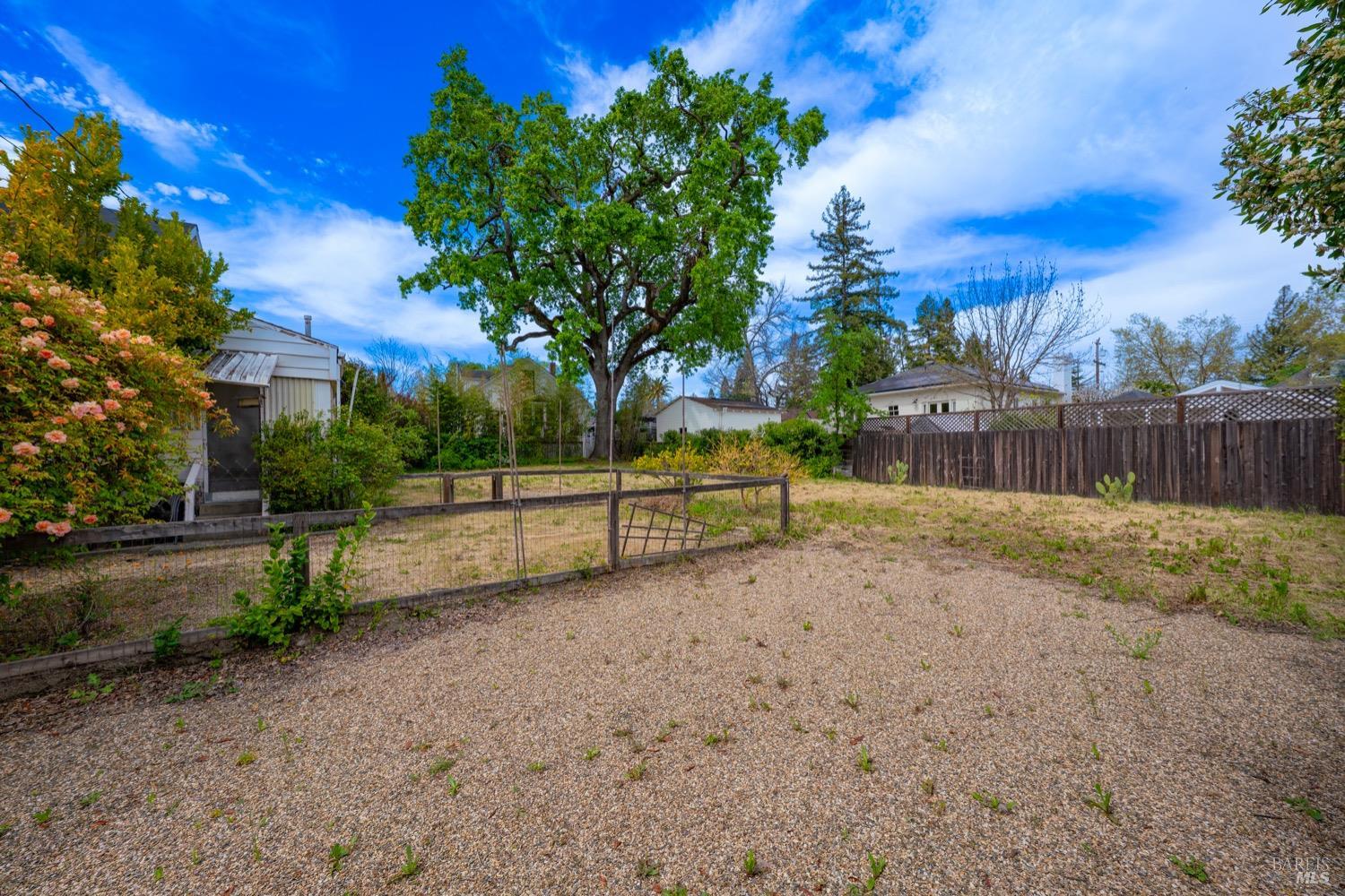 1664 Spring Street St. Helena, CA 94574 - Photo 20 of 27 a view of backyard with wooden fence
