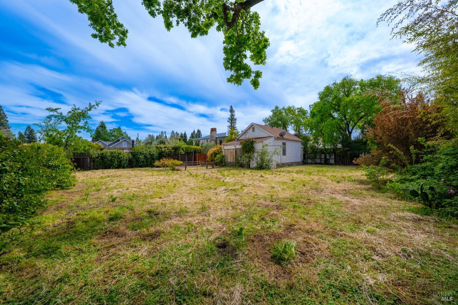 1664 Spring Street St. Helena, CA 94574 - Photo 22 of 27 a view of a yard with an outdoor space