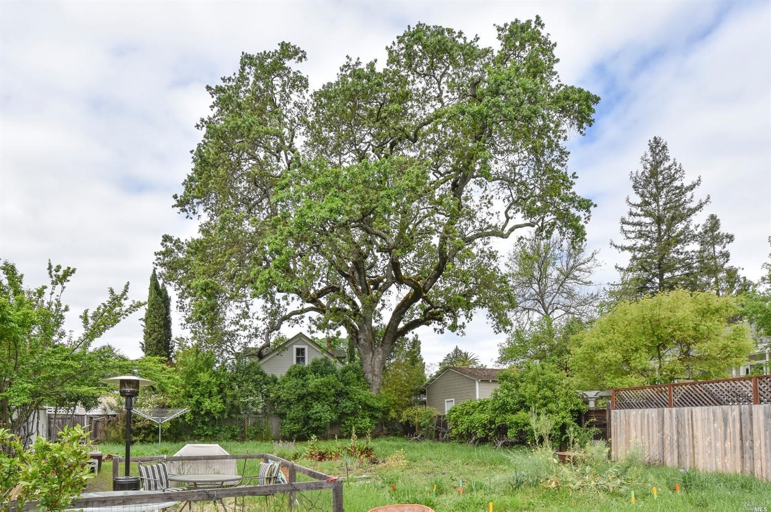 1664 Spring Street St. Helena, CA 94574 - Photo 4 of 27 a backyard of a house with lots of green space