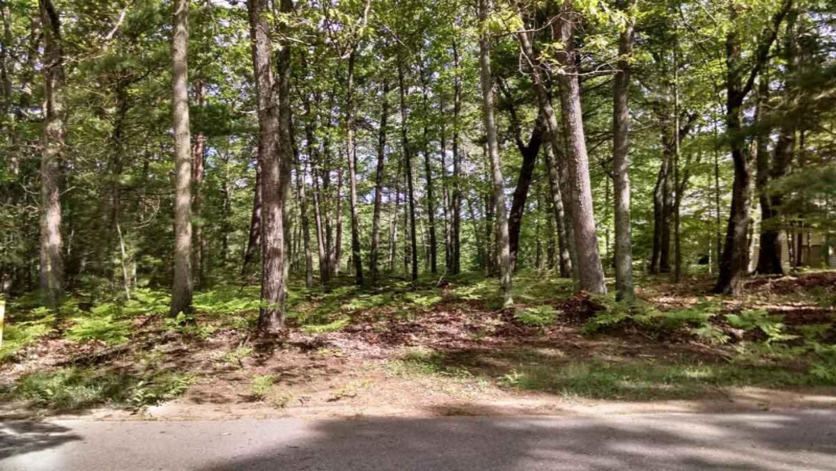West Shawnee Road, Unit 119 Pentwater, MI 49449 - Photo 1 of 1 mlspic