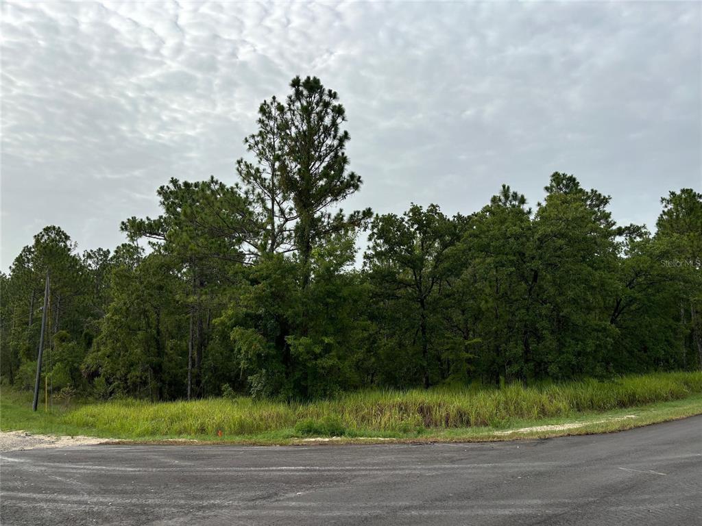 1 Penn State Road Weeki Wachee, FL 34614 - Photo 1 of 1 Corner Lot