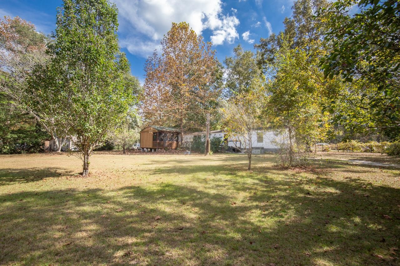 45 Rudolph Lane Monticello, FL 32344 - Photo 7 of 36 Gallery Image 7