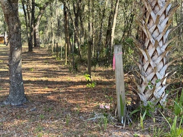 199 Northeast 199th Street Road Citra, FL 32113 - Photo 1 of 1 a view of outdoor space with trees