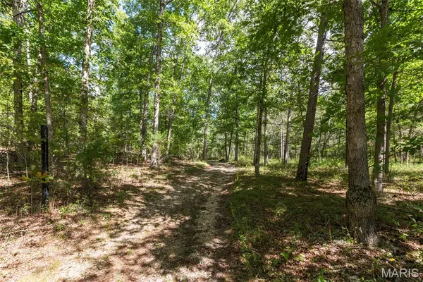 $599,900 | 628 County Road 200, Lesterville, MO 63654