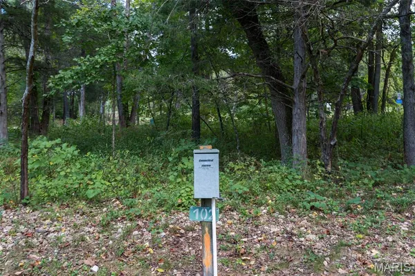 $599,900 | 628 County Road 200, Lesterville, MO 63654