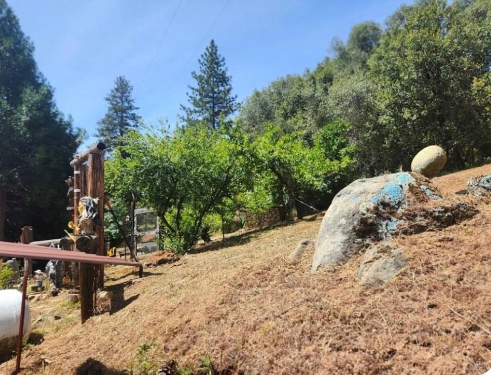 5021 Watt Road Mariposa, CA 95338 - Photo 17 of 18