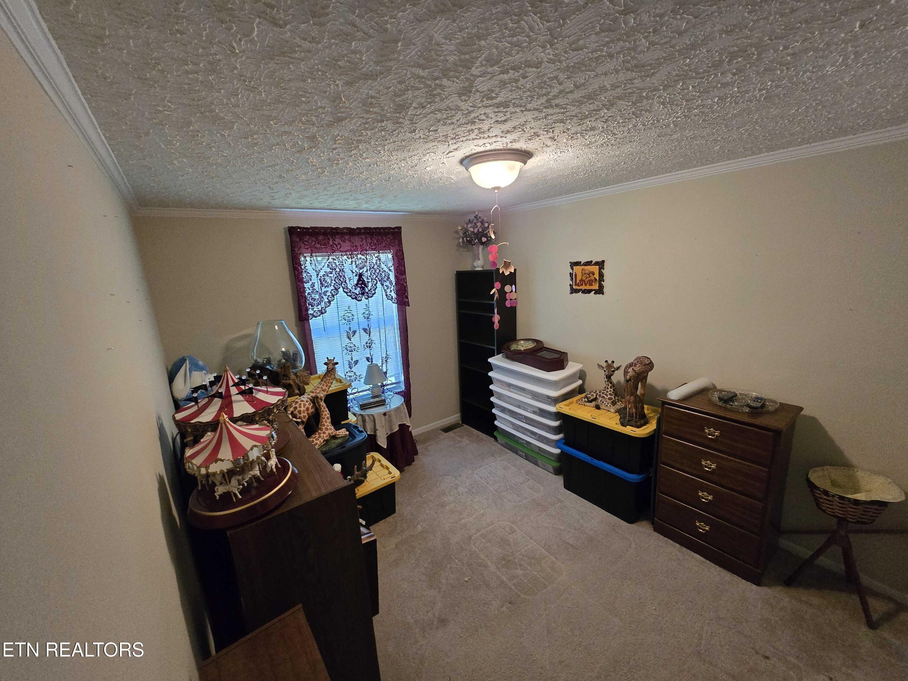 1338 Central Point Road Rutledge, TN 37861 - Photo 16 of 17 16